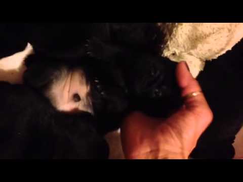 Kalinda's Spring 2014