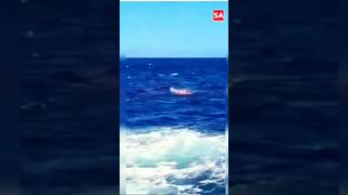Simon Nellist Great White Shark Attack at Sydney, Australia 🌏🦘