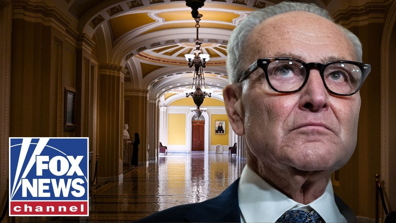 JUST IN: Schumer privately fought to extend government shutdown, report says