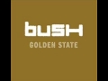 Bush - Hurricane 