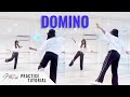 [PRACTICE] Stray Kids - 'DOMINO' - Dance Tutorial - SLOWED + MIRRORED