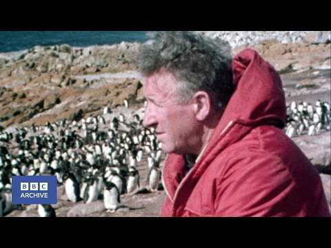 1974: Len Hill - Penguin Millionaire | The World About Us | BBC Archive