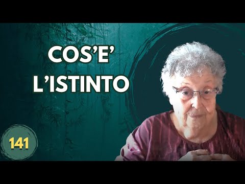 COS'E' L'ISTINTO (141)