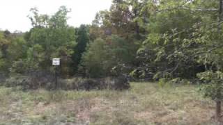 Tract 10 & 11 Raystown Highlands