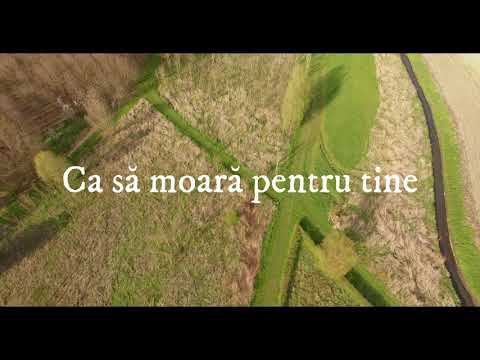 Alex Pamparau - Pentru tine-un pacatos(cover)