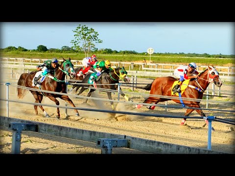 XVIII GP HARAS PRIMAVERA - Completo: Classificatórias, Consolação e Final.