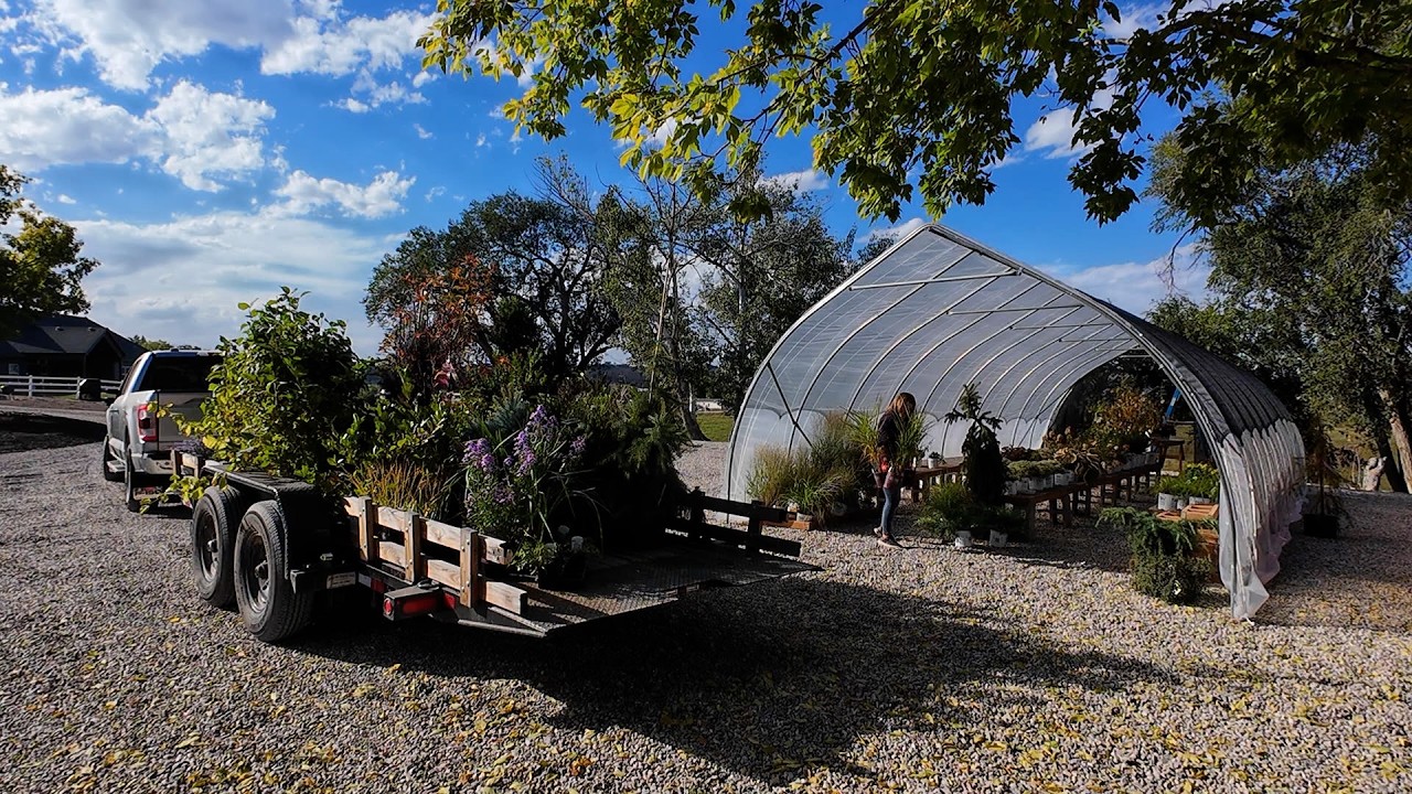 Moving the High Tunnel & All the Plants + Planting Invincibelle Ruby Hydrangeas! 🙌🌿🤩