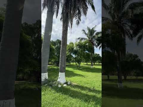 Separa con 6 millones tu  Lote en Melgar Tolima