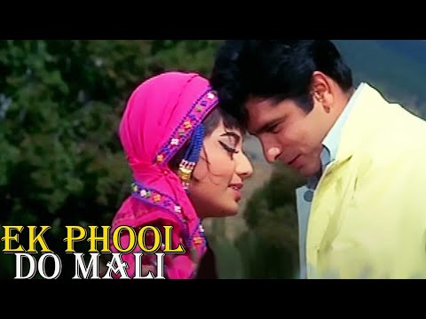 EK PHOOL DO MALI | एक फूल दो माली Film complet |Sanjay Khan și Sadhana Shivdasani FILM ROMANTIC