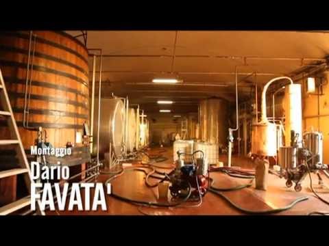 La chilocaloria su me un verme quanto è necessario Il rimedio più efficace da tutti i tipi di helminths