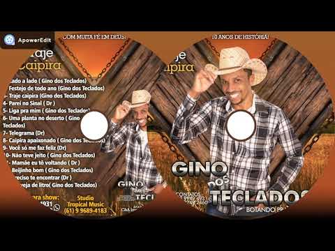 Uma Planta De Deserto - Gino Dos Teclados