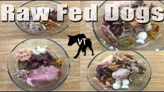 Download lagu Raw Feeding Compilation 4 mp3 Download lagu Raw Feeding Compilation 4 mp3