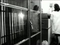 Wie 1967 Ein Bericht Im Fernsehen Entstand