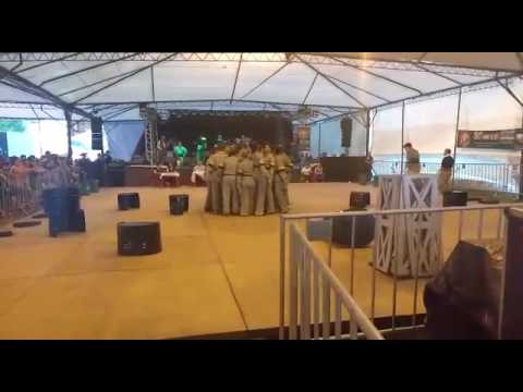 Invernada Adulta DTG Tropeiros Do Ouro Negro - Rodeio Internacional do Mercosul 2016