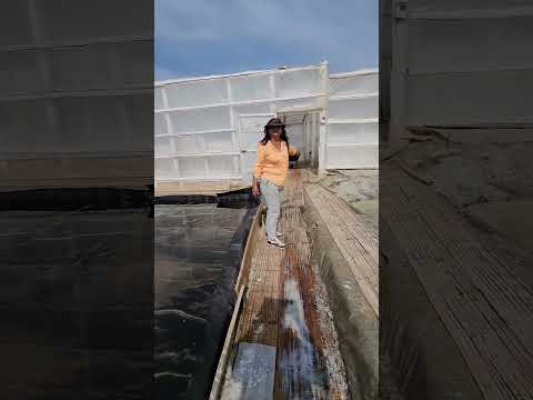 Flor de Sal, Mina de sal