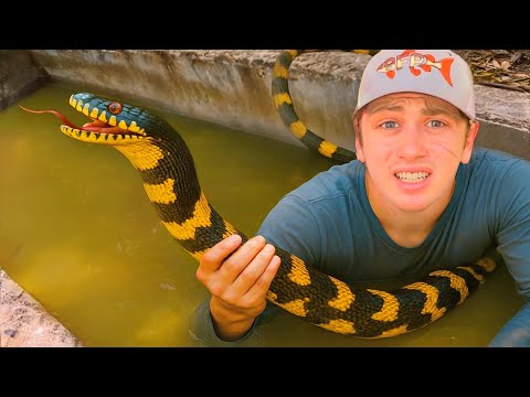 I Found a Pond INFESTED with Deadly Snakes!