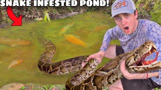 I Found a Pond INFESTED with Deadly Snakes!
