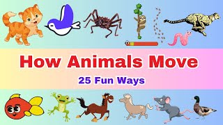 How Animals Move: 25 Fun Ways! | Fun Animal Movements for Kids | Awareness Lesson for Primary Kids