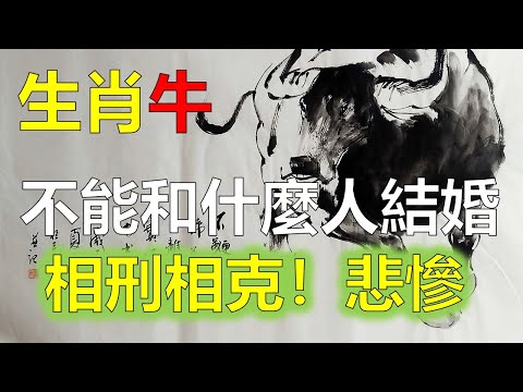 牛女馬男