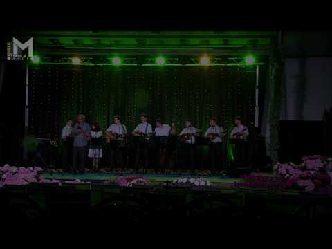 Gusti Draksar uz TS Frikovi - Materine reči (festival Kre Mure i Drove, Prelog 2017.)