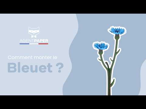 Construction florale - vidéo de présentation