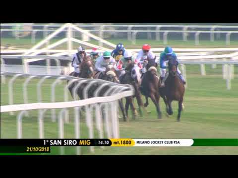 2018.10.21 Premio Milano Jockey Club Stakes Psa (ITA) - Akoya