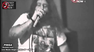 PINGA  - alcoholic noise band