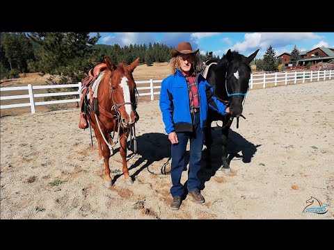 CAVALCAILVENTO - ON THE ROAD (Montana 2018)