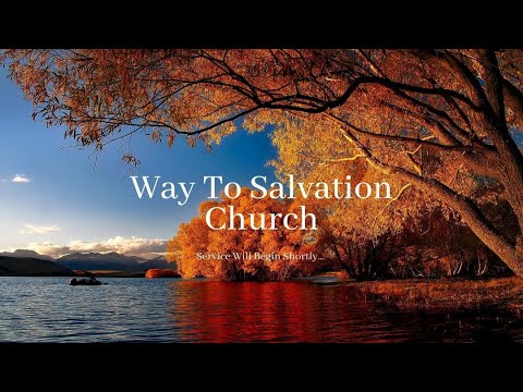 11/8/2025 Bogdan and Dina's Wedding 12pm