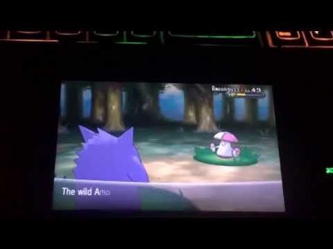 My Great Duskull Evolving...