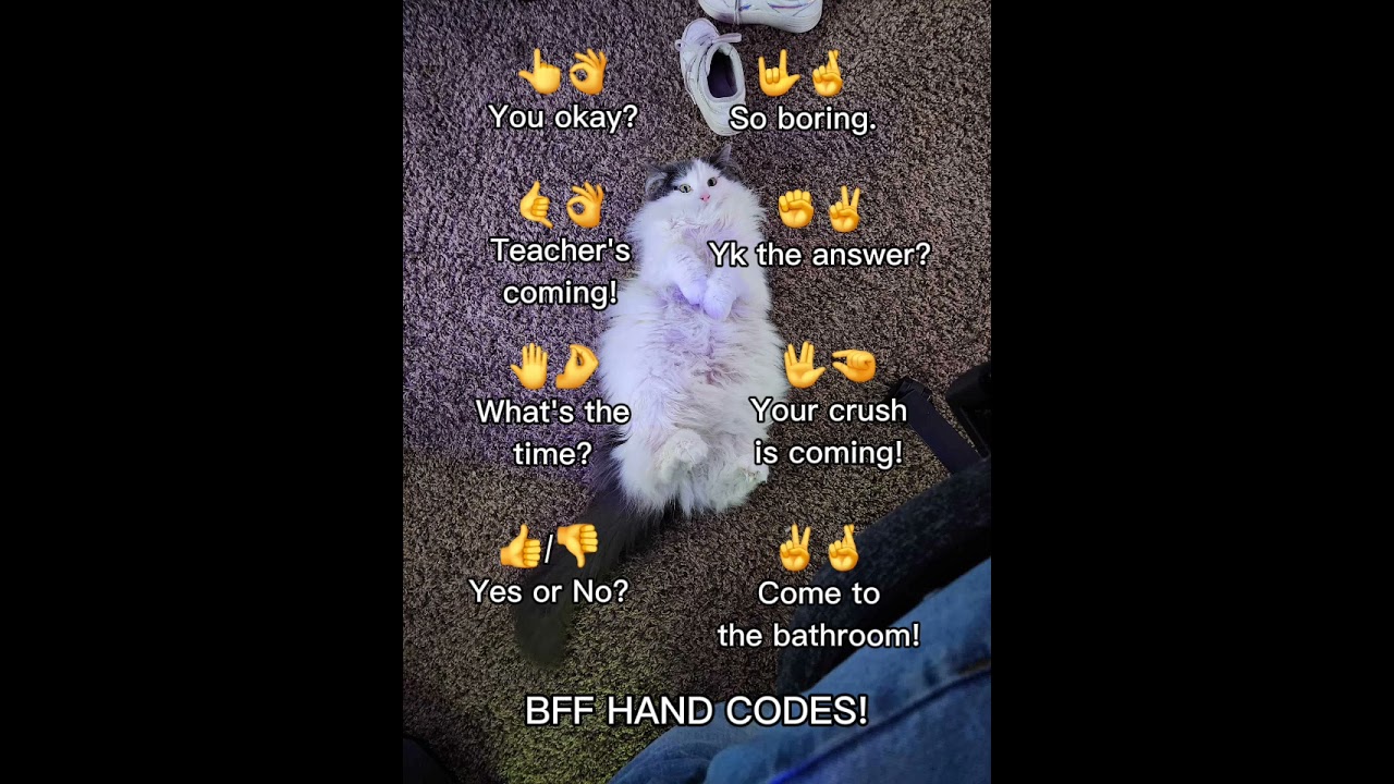best friend hand signals for school!