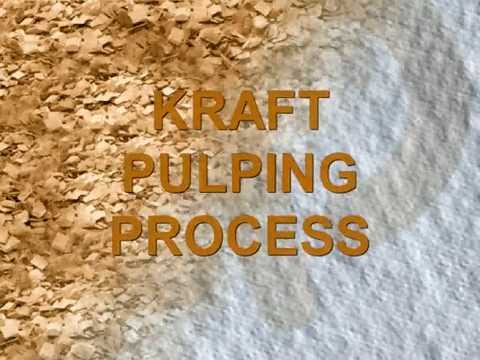 Pulp and Paper Process Flow Introduction