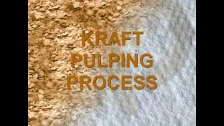 Pulp and Paper Process Flow Introduction