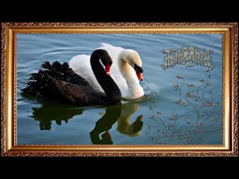 Alghazanth - In Your Midnight Orchard