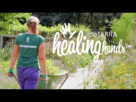 Healing Hands - Hortus Alkmaar Botanical Gardens