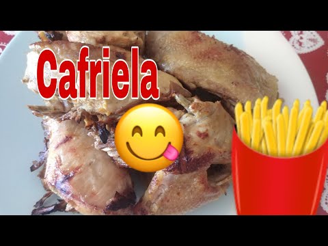 CAFRIELA (Guiné Bissau)