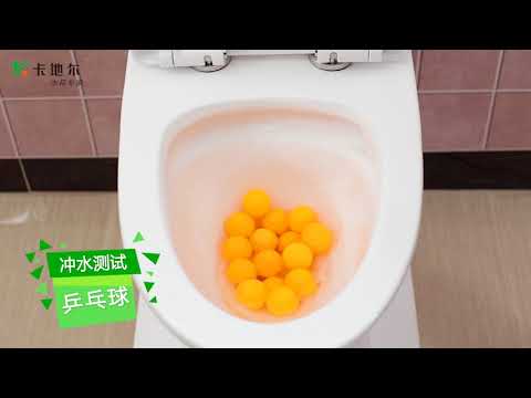 kardier toilet flushing test 20171123