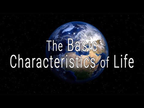 The Basic Characteristics of Life by Jack Kornfield