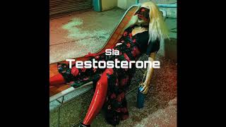 Sia - Testosterone (Audio)