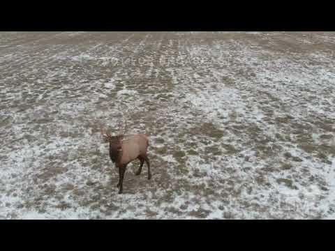 02-01-2023 Eastern Oklahoma  - Winter storm/ ice/sleet