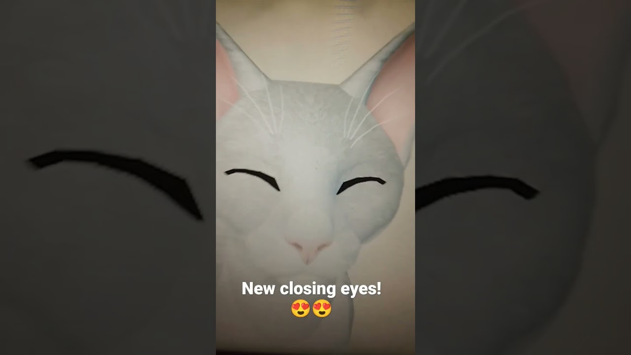 Wcue updates I'm so excited for! {} pt. 1 {} #wcue #warriorcats #warriorcatsultimateedition #shorts