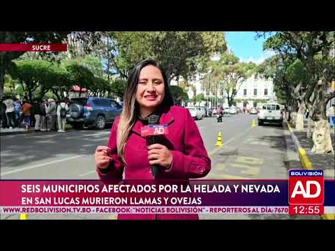 Helada y nevada afectan a seis municipios de Chuquisaca