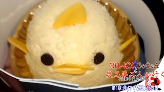 【実写動画】従兄弟二人が行く -光と新年 そして ぴよりん- 前編【TSC】