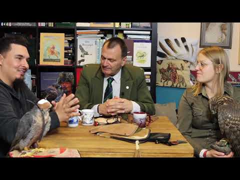 Darz Bór Stażysta 16 - Wszystko co musisz wiedzieć o sokolnictwie cz I