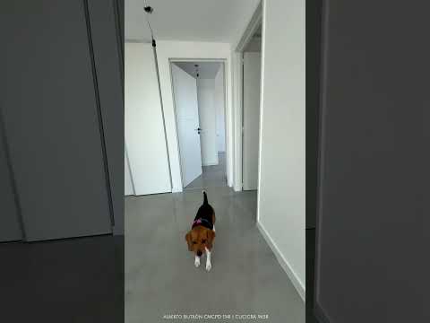 Alquiler departamento 3 ambientes con cochera en Tigre, Buenos Aires