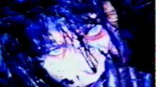 W.A.S.P - Black Forever