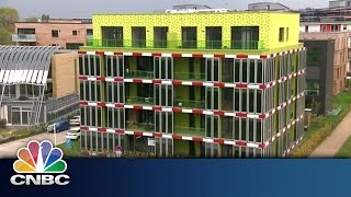 Algae: Future Energy Source | The Edge