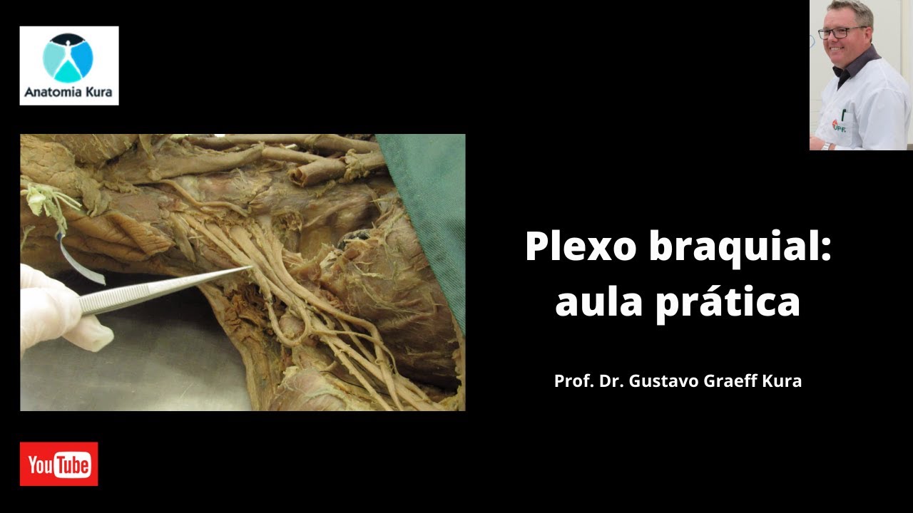 Plexo braquial: aula prática