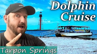 Tarpon Springs Treasures: Cruising for Dolphins and More