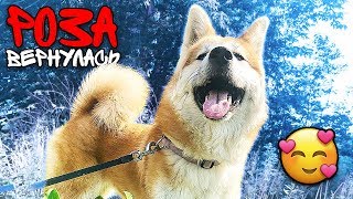 ЛУНА ЧУТЬ НЕ ЗАПЛАКАЛА КОГДА ВСТРЕТИЛА МЕНЯ